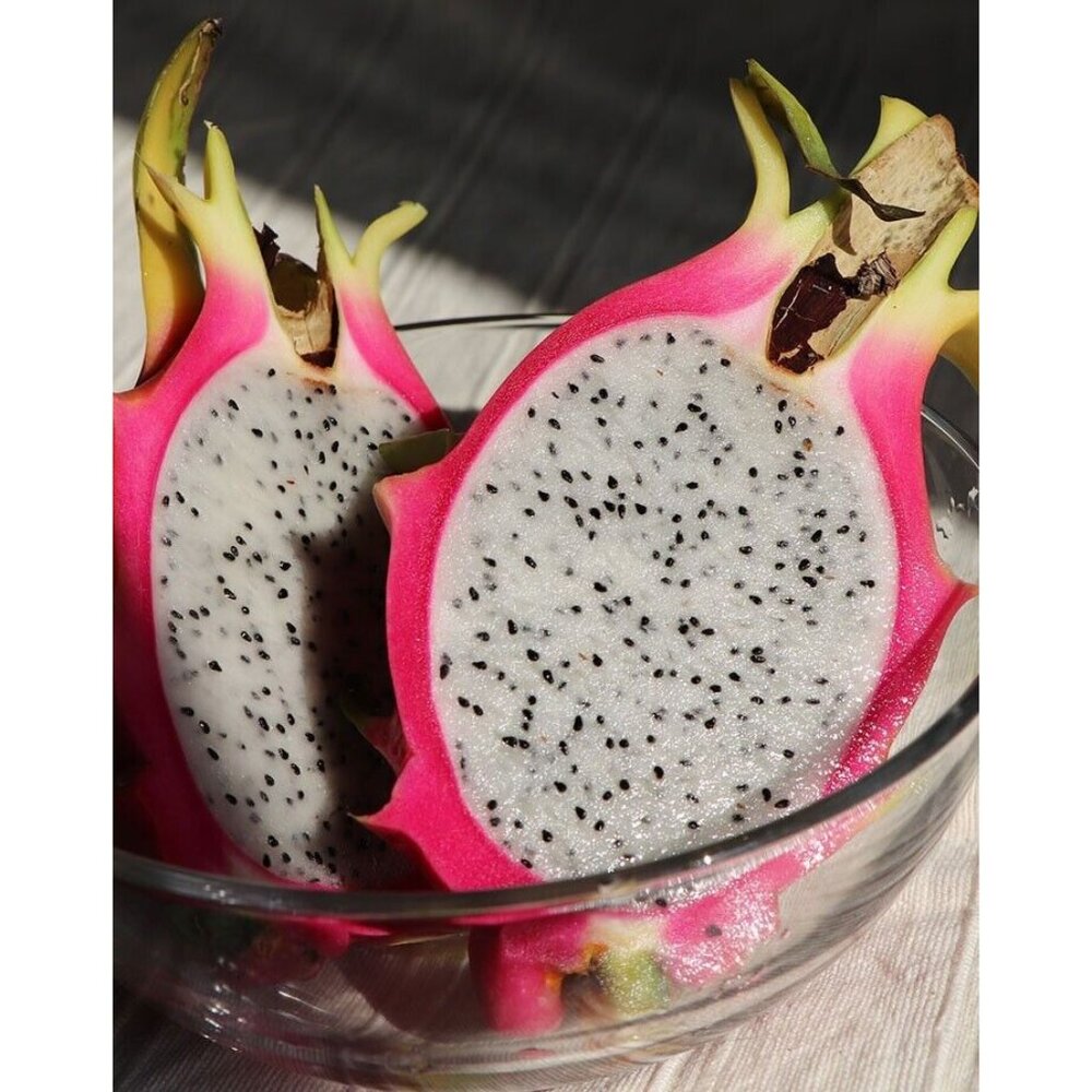 White Heart Pitaya 200+Seeds White Dragon Fruit Hylocereus Undatus Cactus